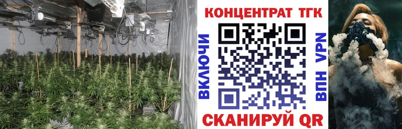 ТГК гашишное масло где продают наркотики Звенигово