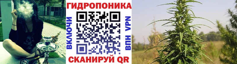 blacksprut зеркало  Звенигово  Бошки марихуана VHQ 